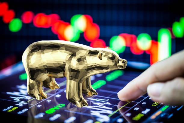istock Bear stock market concept 1216871552