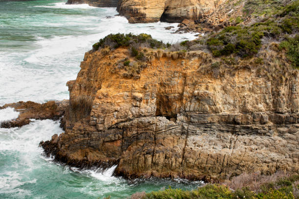 istock View of rock formations and rugged coastline Tasmania 1216872336