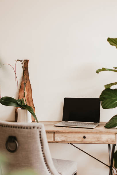 istock Working desk with laptop and house plants 1216874324