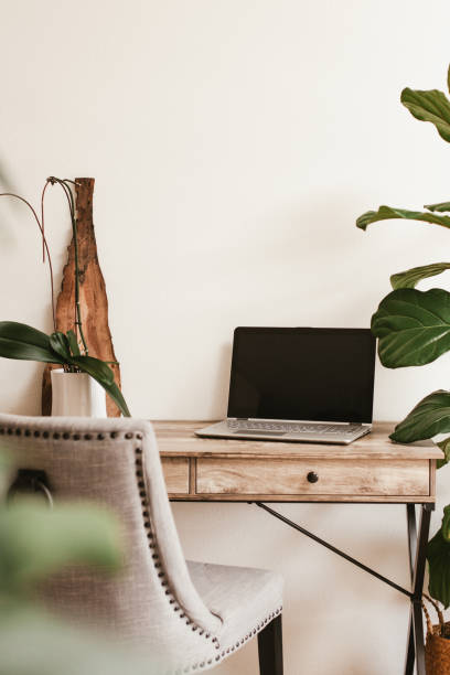 istock Working desk with laptop and house plants 1216874472
