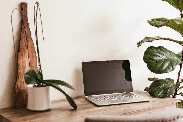 istock Working desk with laptop and house plants 1216874503