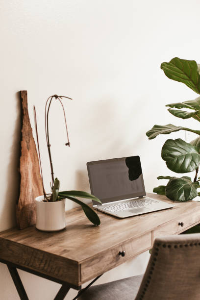 istock Working desk with laptop and house plants 1216874526