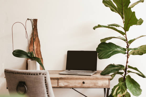 istock Working desk with laptop and house plants 1216874541