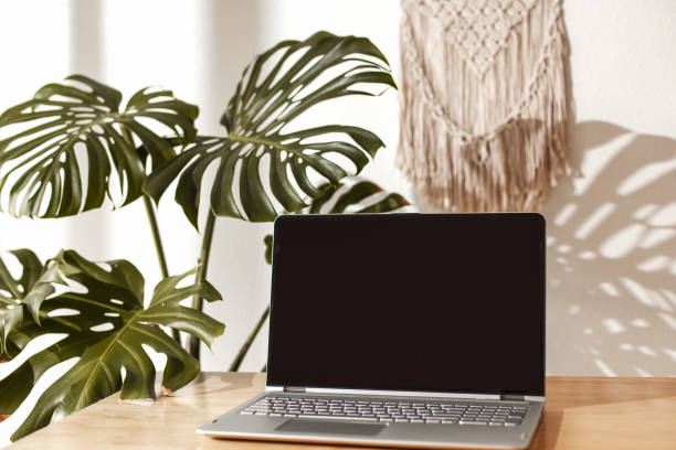 istock Work from home space - home garden, computer desk, laptop and camera. 1216874595