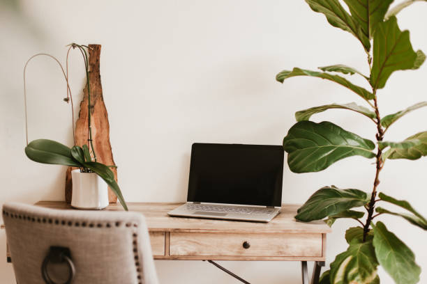 istock Working desk with laptop and house plants 1216874654