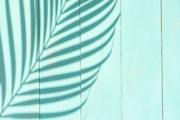 istock Turquoise background with palm for tropical concept 1216877775