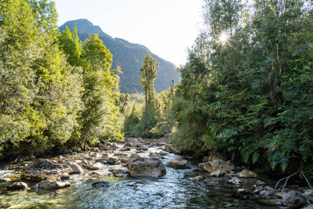 istock River in Pumalin National Park 1216879733