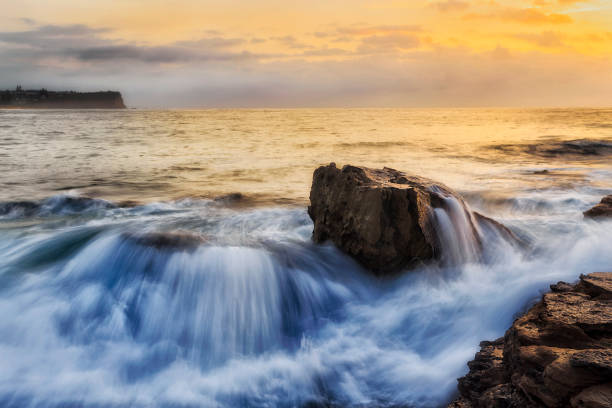 D Sea turimetta rocks wave 39mm