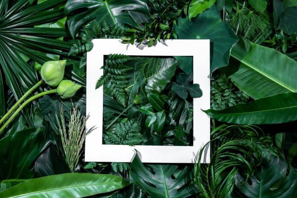 istock green leaves for background and wallpaper 1216883306