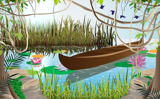 Wooden boat in the swamp