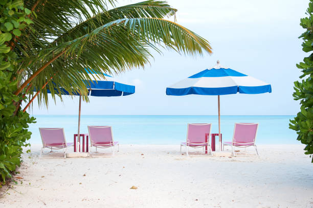 istock Lounge chairs and umbrellas in tropical paradise beach 1216887519