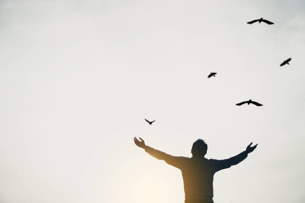 istock Man rise hands up to sky looking at birds fly through metaphor freedom concept with sunset sky black and white tone background. 1216888990