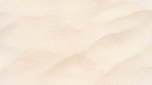 istock Beautiful nature sand texture as background 1216889051