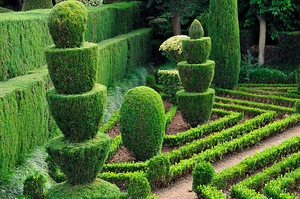 Decorative topiary in the Botanical Gardens Funchal, Madeira stock photo