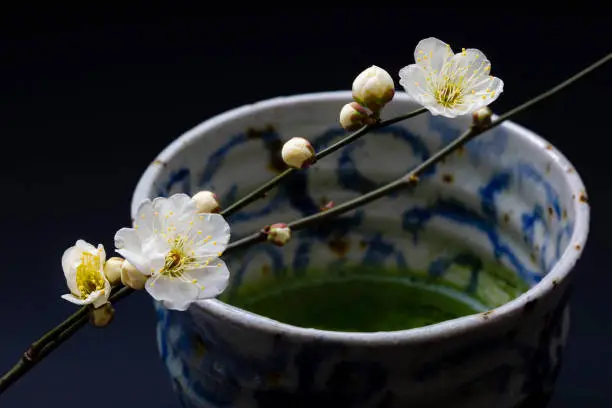 A plum blossom that tells the spring, a flower that has been with Japanese tradition for a long time,