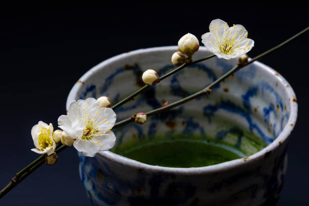 flores de ameixa no início da primavera, matcha e tigelas de chá com uma atmosfera wabisabi - tea ceremony - fotografias e filmes do acervo