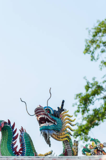 Chinese New Year Dragon