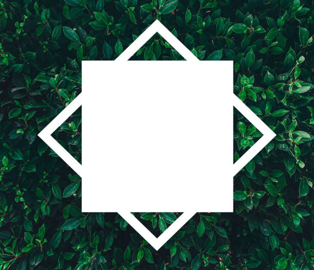 istock Creative layout made of green leaves with paper card note for entering your message. Flat lay. tropical leaves, abstract green leaves texture, Natural background and wallpaper. Nature concept. 1216900406