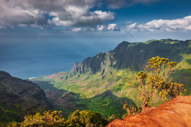 At the bottom of the canyon flows the Waimea River. The most exotic trip in life. Hawaii, Kauai Island, Waimea Canyon. Picturesque canyon of red-brown basalt lava.