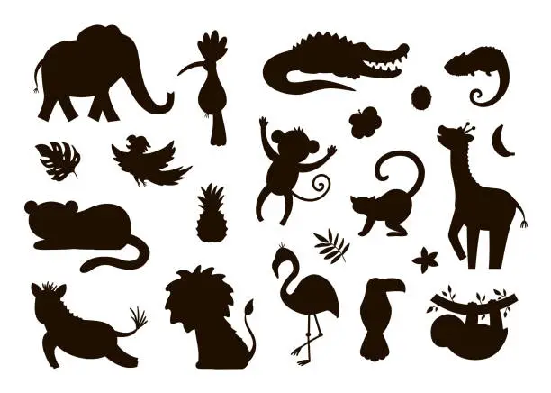 Vector illustration of Vector cute exotic animals, leaves, flowers, fruits silhouettes isolated on white background. Funny tropical birds and plants black illustration. Jungle summer stamp design