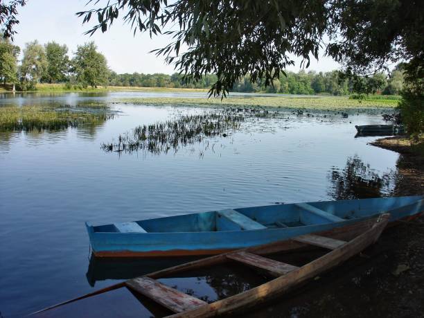 istock A quiet, calm river overgrown with water vegetation. 1216910212