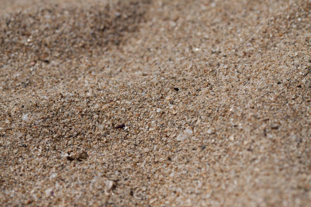 istock Beach sand closeup, Puglia - Italy 1216916580
