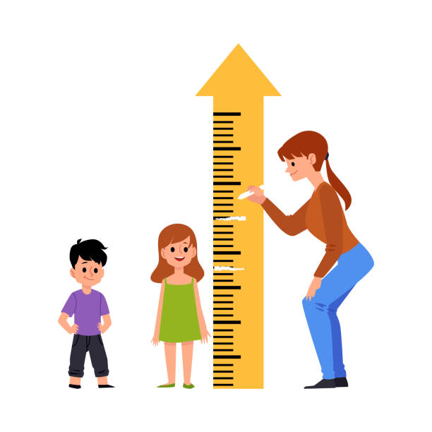 illustrations, cliparts, dessins animés et icônes de les enfants de la maternelle ou d’âge préscolaire mesurent l’illustration vectorielle de hauteur isolée. - court longueur