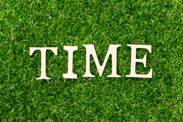 istock Wood letter in word time on green grass background 1216922902