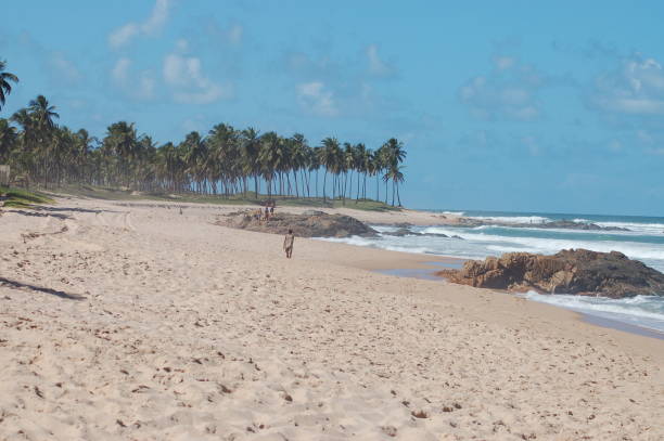 istock Aerial view of tropical white sand beach 1216924352