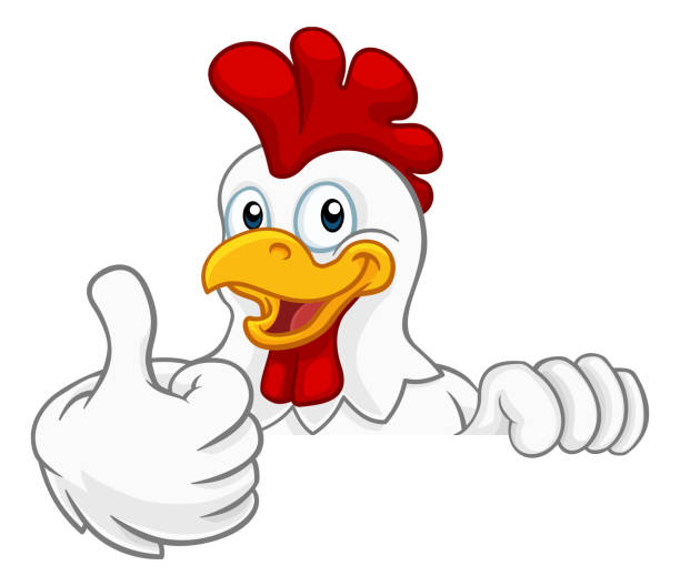 Chicken Rooster Cockerel Bird Cartoon Character A chicken rooster cockerel bird cartoon character peeking over a sign and giving a thumbs up chicken thumbs up design stock illustrations