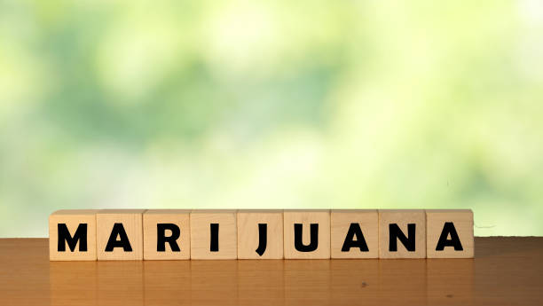 istock MARIJUANA message word on a wooden desk on cube blocks with a green nature background 1216925862