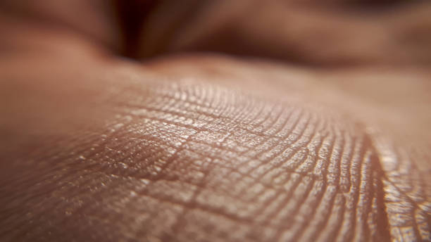 istock Texture of a closeup human skin hand. 1216927107
