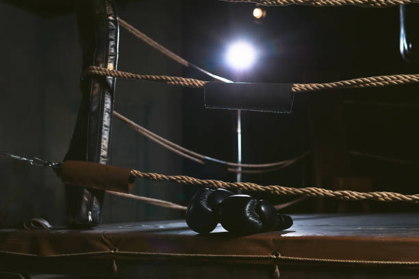 istock A pair of black boxing gloves on the ring 1216929571