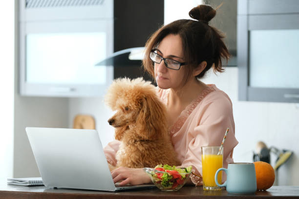 The young woman is working remotely. Young woman with her dog working using a laptop at home. The young woman is working remotely. Young woman with her dog working using a laptop at home. Concept of the workplace at home, working remotely. dog ate my homework stock pictures, royalty-free photos & images