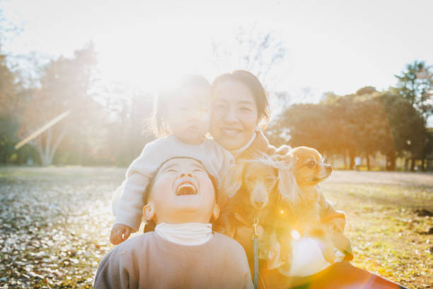 retrato da família e dos cães - pets family dog asian ethnicity - fotografias e filmes do acervo