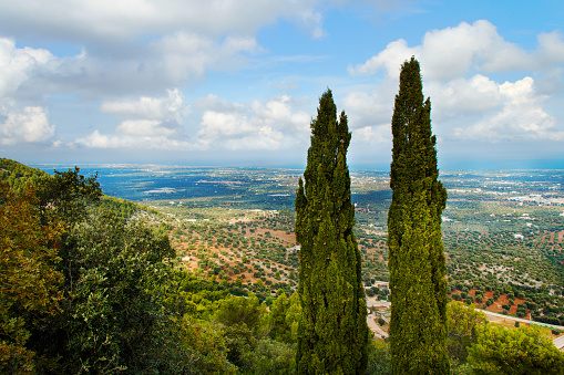 Typical scenery in the Itria Valley, between Martina Franca, Locorotondo and Alberobello villages, in Puglia, Italy