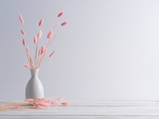Pink bunny tail grass in vase on a white wooden table. Natural dried bunny tail grass on white wooden plank floor vintage style. Interior design concepts. tail photos stock pictures, royalty-free photos & images