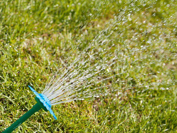 istock Water sprinkler on green grass 121693344