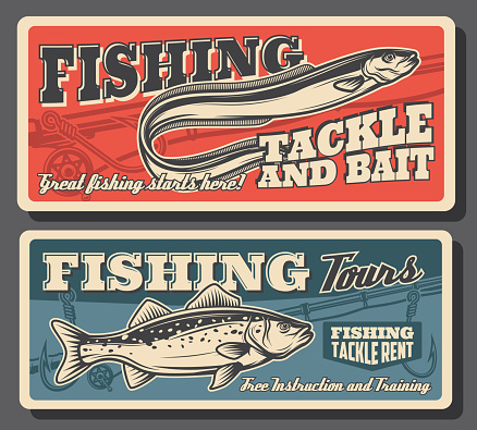 Fishing sport, sea bass and eel fish, tackles and bait posters. Fisherman equipment and fish catch accessories rent. Fishing rods or spinning with hooks and floaters, vector vintage card