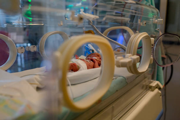 bebé prematuro se encuentra en la incubadora - premature fotografías e imágenes de stock