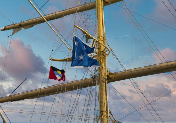 Marine Symbol. Symbol flag of the Brice Mircea - Romanian Military  Navy School Ship.