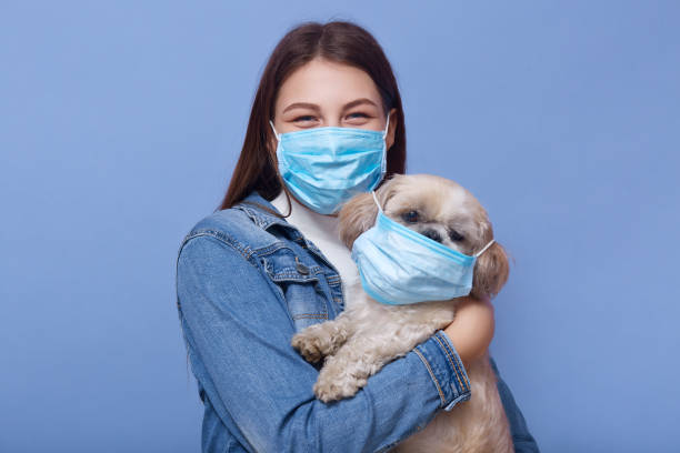 Close up portrait of young woman with long hair, dresses denimjacket and medical mask as precaution against spread of virus, holding her dog in hands with fluemask too. Coronavirus pandemic concept. cerrar el retrato de la mujer joven con el pelo largo, vestidos denimjacket y máscara médica como precaución contra la propagación del virus, sosteniendo a su perro en las manos con máscara de gripe también. concepto de pandemia de coronavirus.
