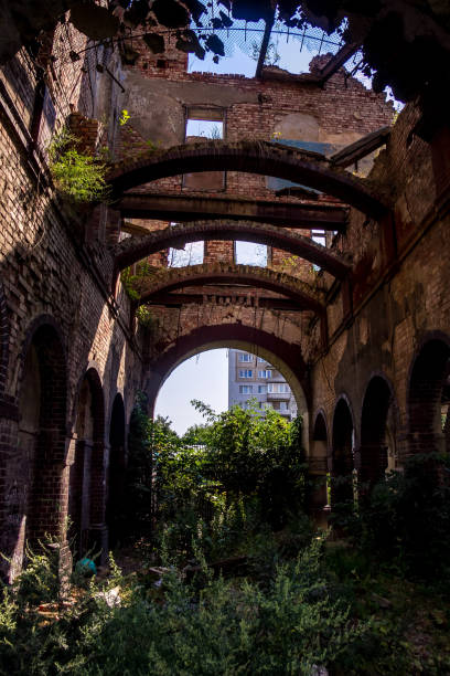 istock Overgrown by plants ruins of abandoned mansion 1216936614