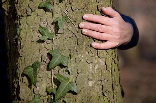 a woman hugs a tree with ivy