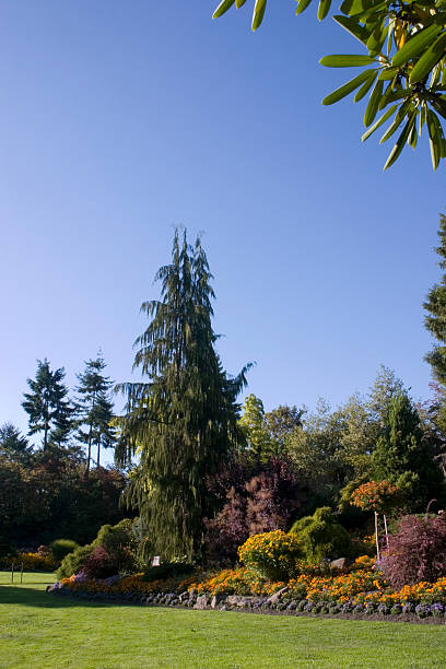 istock Beautiful landscaped garden 121693799
