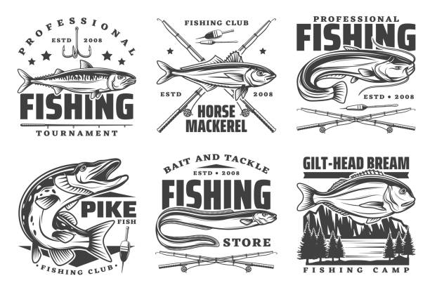 Professional fishing sport, fisherman club badges Fishing icons and fisherman club signs, sport tournament and fish catch lures, baits and tackles shop icons. Vector river sheatfish, pike and gilt-head bream, sea mackerel and eel fish sheatfish stock illustrations