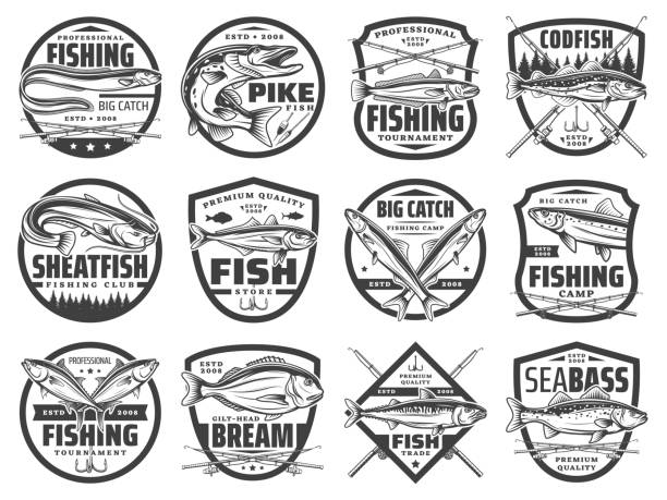 ilustrações, clipart, desenhos animados e ícones de varas de pesca, peixes e anzóis. clube dos pescadores - catfish fish fishing fishing hook