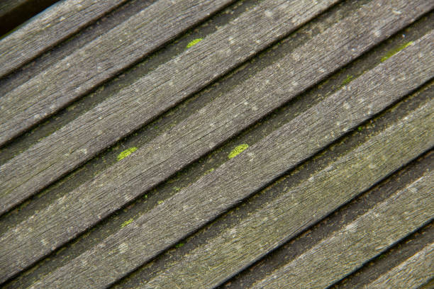 some plats a wood plank