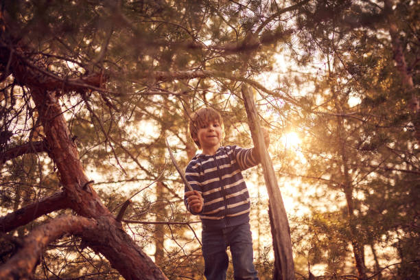 istock happy boy sitting high up in a pine tree at sunset 1216943074