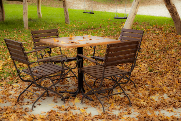 istock Outdoor seats in late autumn 1216943617